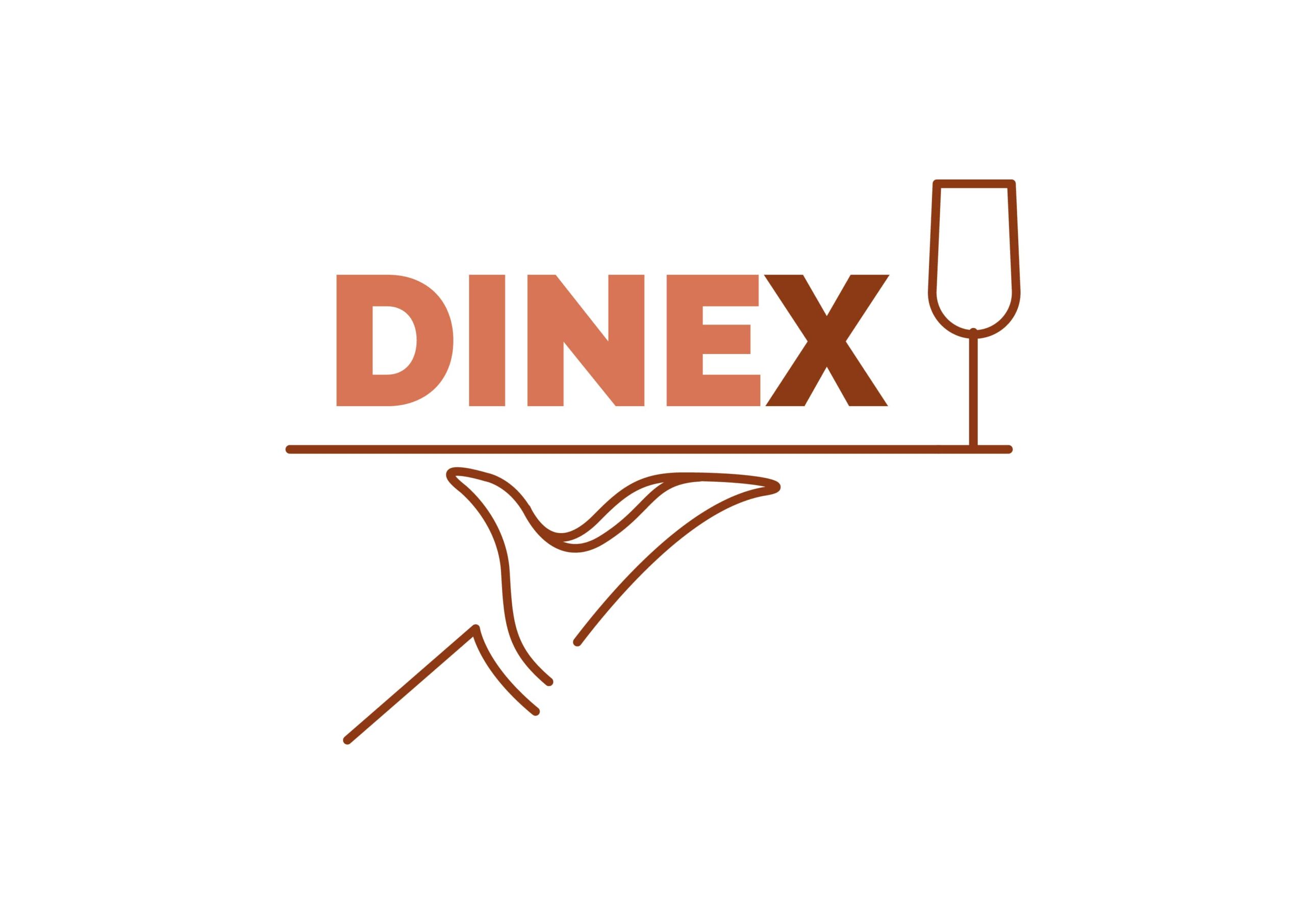Dinex 01 min scaled